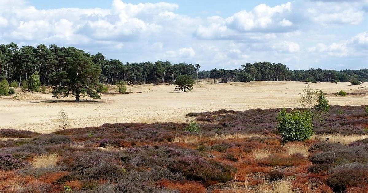 Vakantie Op De Veluwe Lunteren Exterior photo